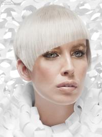 Young Fashion Platinum Blonde Sharp Scissors Short Straight Lace Front Wigs